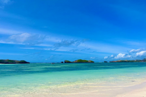 The House on the Sand |  -  - 