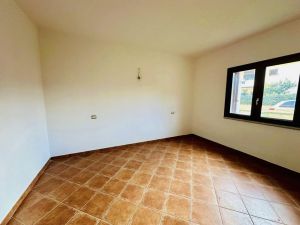 Casa Torpe' |  -  - 