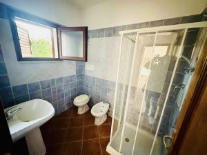 Casa Torpe' |  -  - 
