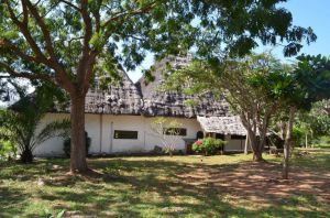 Tenuta Diani Congo Beach |  -  - 