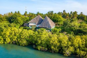Tenuta Diani Congo Beach |  -  - 