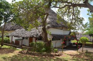 Tenuta Diani Congo Beach |  -  - 