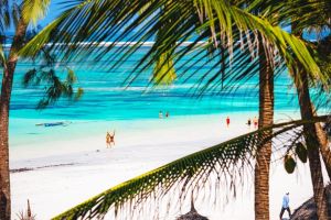 Tenuta Diani Congo Beach |  -  - 
