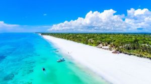 Tenuta Diani Congo Beach |  -  - 