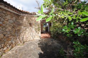 Villa Gorgonia |  -  - 