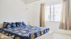 La Casa delle Stelle Marine |  -  - 