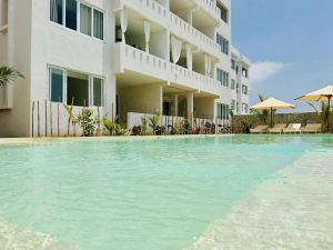 La Casa delle Stelle Marine |  -  - 