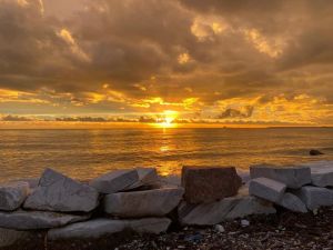 Il Fronte Mare di Marina |  -  - 