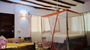Villa Bongo House |  -  - 