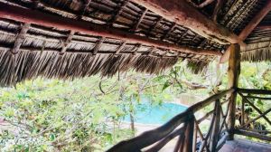 Villa Bongo House |  -  - 