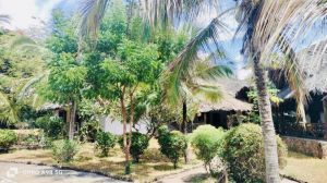Villa Bongo House |  -  - 