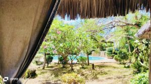 Villa Bongo House |  -  - 