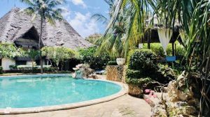 Villa Bongo House |  -  - 