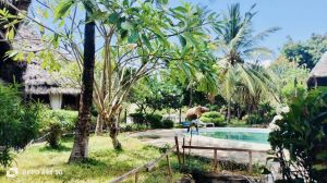 Villa Bongo House |  -  - 