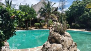 Villa Bongo House |  -  - 