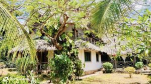 Villa Bongo House |  -  - 