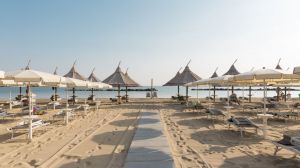 Il Casale di Pietrasanta |  -  - 