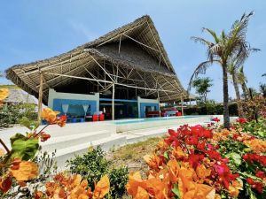 Tenuta La Mia Africa |  -  - 