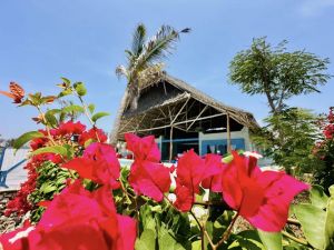 Tenuta La Mia Africa |  -  - 