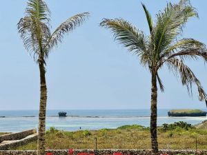 Tenuta La Mia Africa |  -  - 