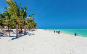 Tenuta La Mia Africa |  -  - 