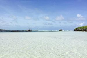 Tenuta La Mia Africa |  -  - 