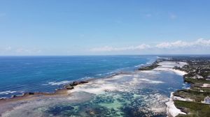 Tenuta La Mia Africa |  -  - 