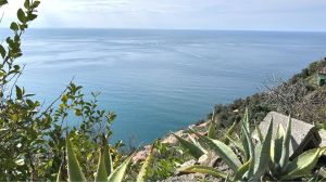 IL Rustico dei Vignaioli |  -  - 
