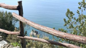 IL Rustico dei Vignaioli |  -  - 