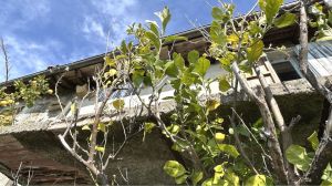 IL Rustico dei Vignaioli |  -  - 