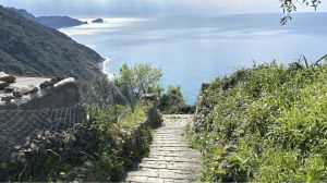 IL Rustico dei Vignaioli |  -  - 
