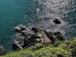 IL Rustico dei Vignaioli |  -  - 