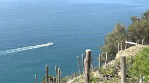 IL Rustico dei Vignaioli |  -  - 