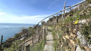 IL Rustico dei Vignaioli |  -  - 