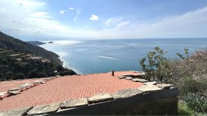 IL Rustico dei Vignaioli |  -  - 