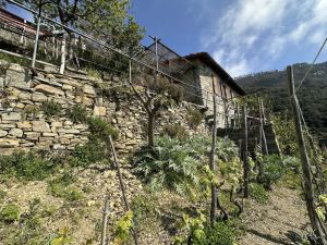 Antico Casale di Tramonti |  -  - 