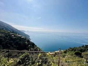 Antico Casale di Tramonti |  -  - 