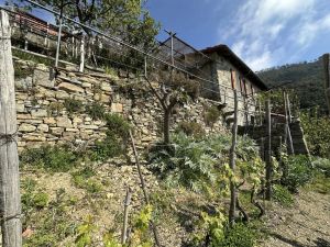 Antico Casale di Tramonti |  -  - 