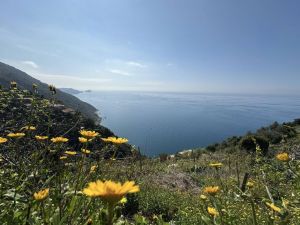 Antico Casale di Tramonti |  -  - 