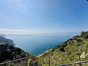Antico Casale di Tramonti |  -  - 