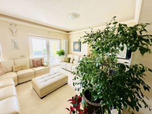 Villa Madonnina del Cielo e del Mare |  -  - 