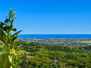 Villa Madonnina del Cielo e del Mare |  -  - 