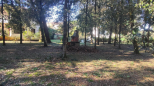 Villa Pinetina | Marina di Pietrasanta - Wohnungen und Villen - Versilia