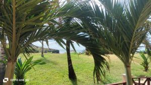 Meraviglia Blue Bay Cove |  -  - 