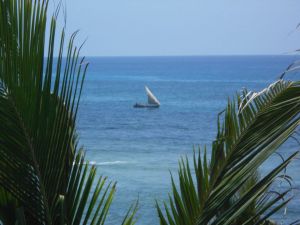 Meraviglia Blue Bay Cove |  -  - 