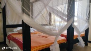 Meraviglia Blue Bay Cove |  -  - 