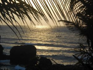 Meraviglia Blue Bay Cove |  -  - 