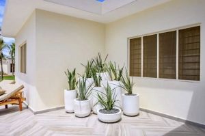 Villa My House |  -  - 