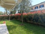 Villa Mediterranea Apuana |  -  - 