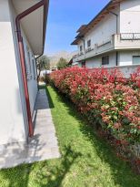 Villa Mediterranea Apuana |  -  - 